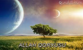 Allah dostlarının ilahi əzəmət qarşındakı qorxuları