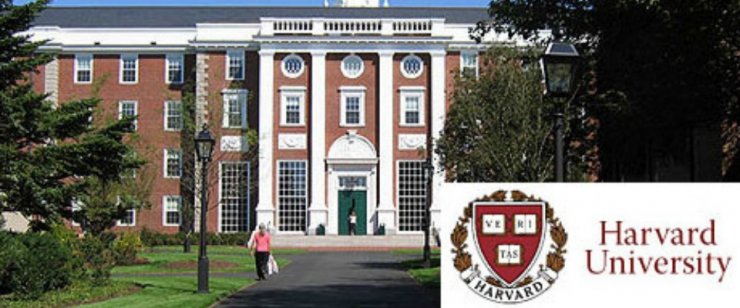 Harvard Universiteti İslami hüququ öyrənmək üçün tələbələrə təqaüd verəcək