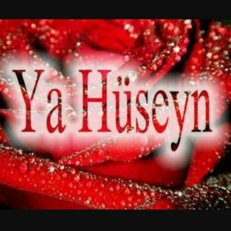 İmam Hüseyn (ə) məktəbini Uca Allah Özü qoruyur