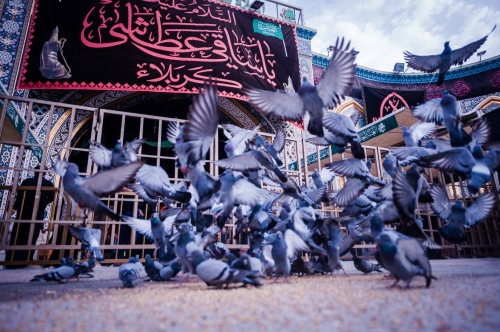 Səfər ayının ortasında bütövlənən ayın Kərbəlada yaratdığı gözəllik - FOTO